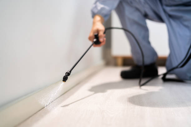 Licensed Pest Control service in Morrisville, NY - Show Me Pest Control