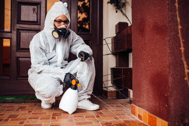 Reliable Wasp Removal contractor in Morrisville, NY by Show Me Pest Control